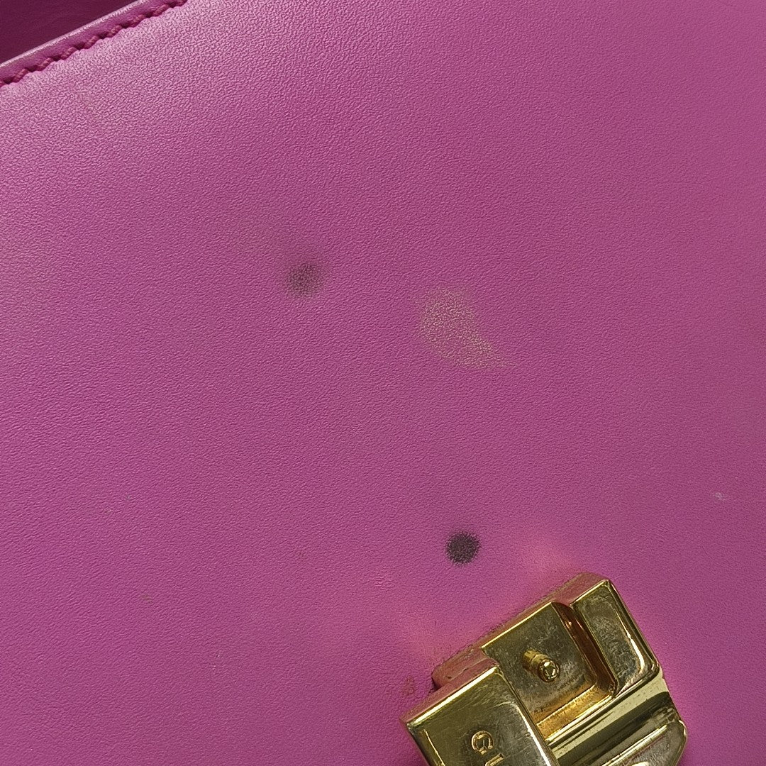 Sylvie Mini Calfskin Pink