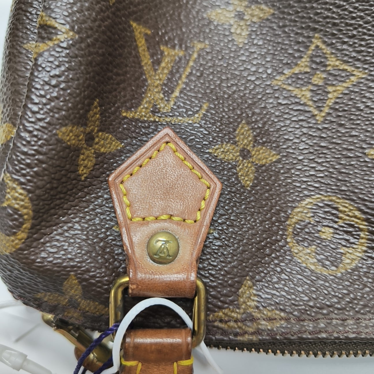 SPEEDY Nano Monogram Coated Canvas Brown