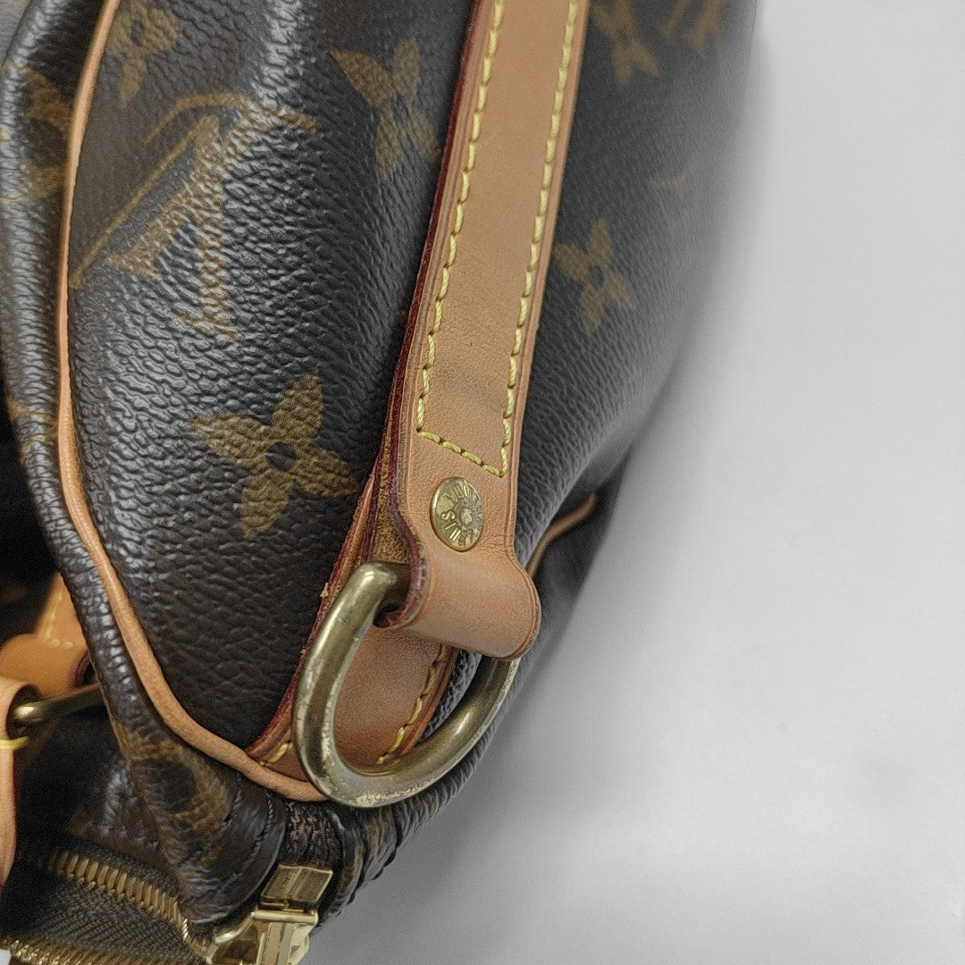 SPEEDY 25 Monogram Coated Canvas Brown