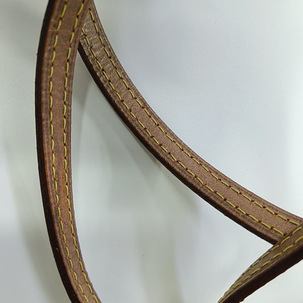 SPEEDY Nano Monogram Coated Canvas Brown