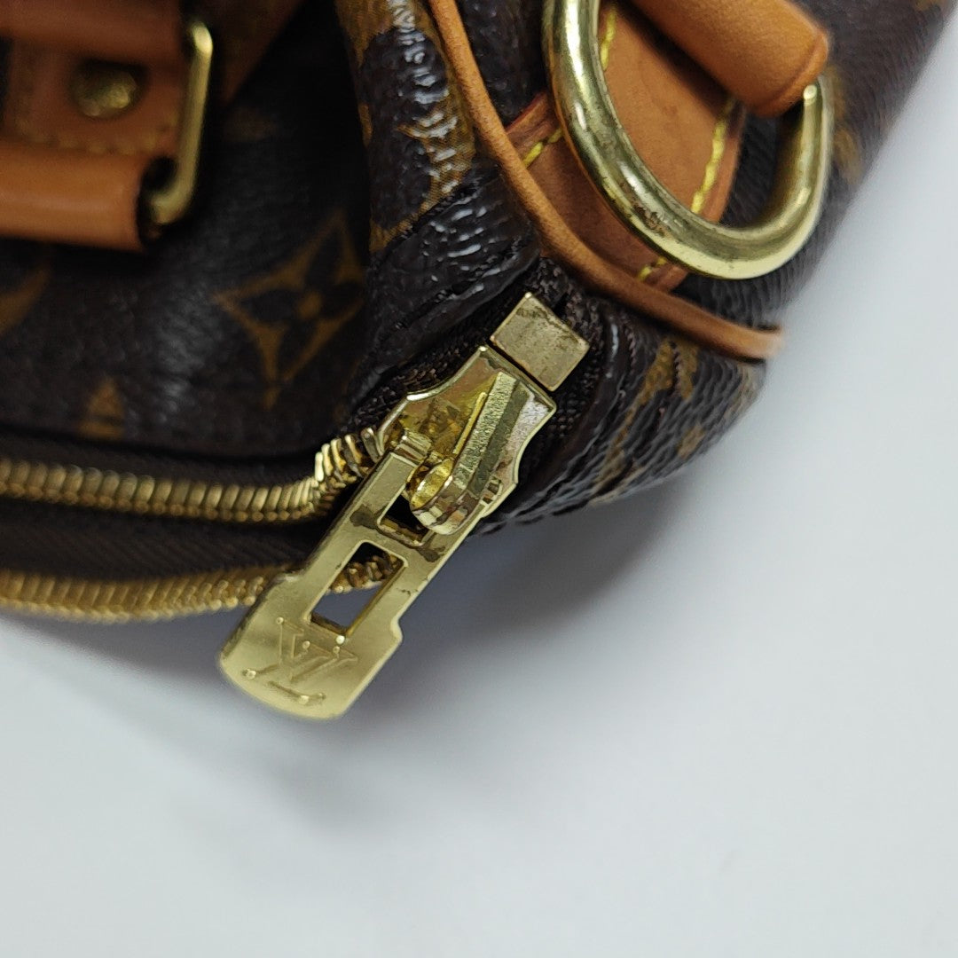 SPEEDY 25 Monogram Coated Canvas Brown