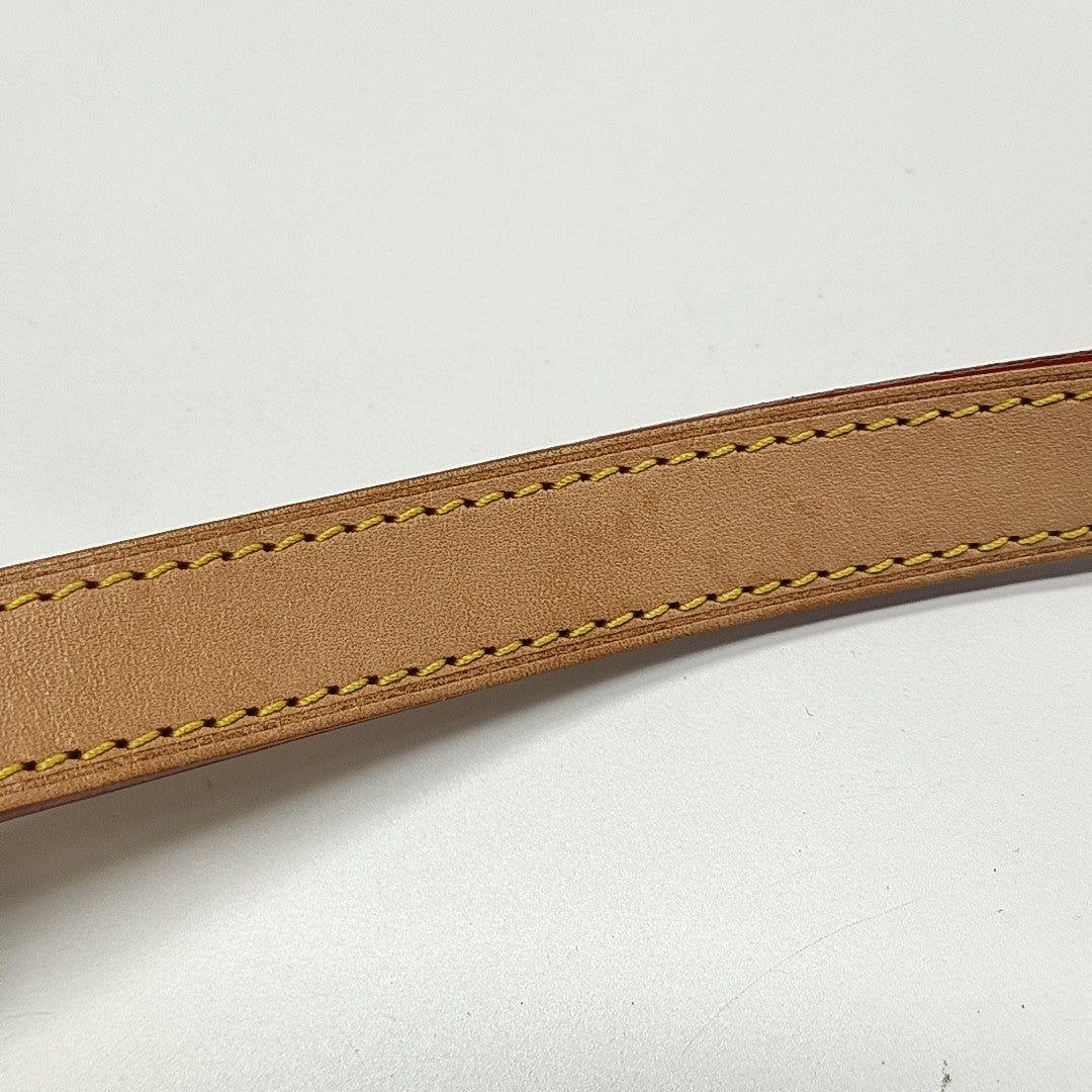 DAUPHINE GM Monogram Coated Canvas Brown