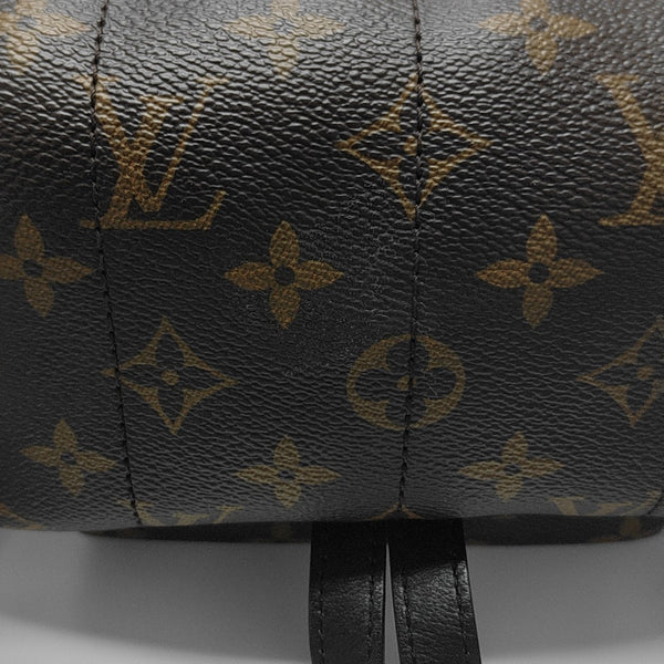 PALM SPRINGS PM Monogram Coated Canvas Brown