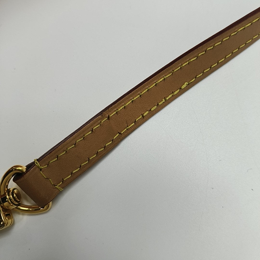 SPEEDY Nano Monogram Coated Canvas Brown