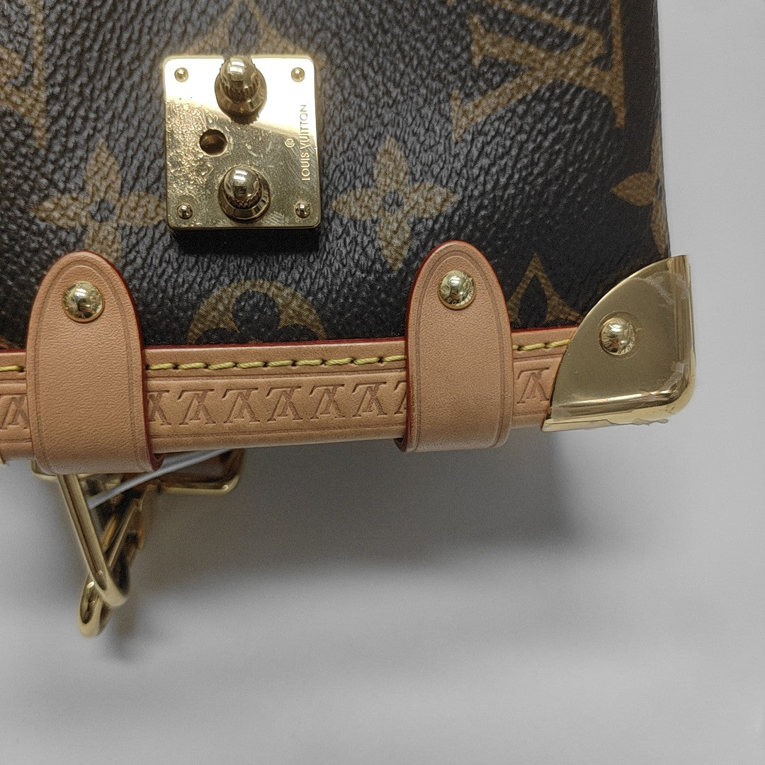 SIDE TRUNK PM Monogram Coated Canvas Brown