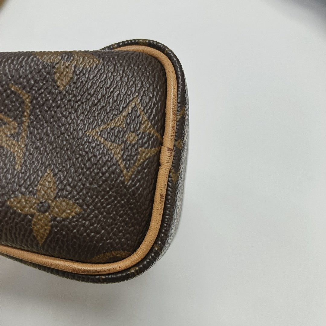SPEEDY Nano Monogram Coated Canvas Brown