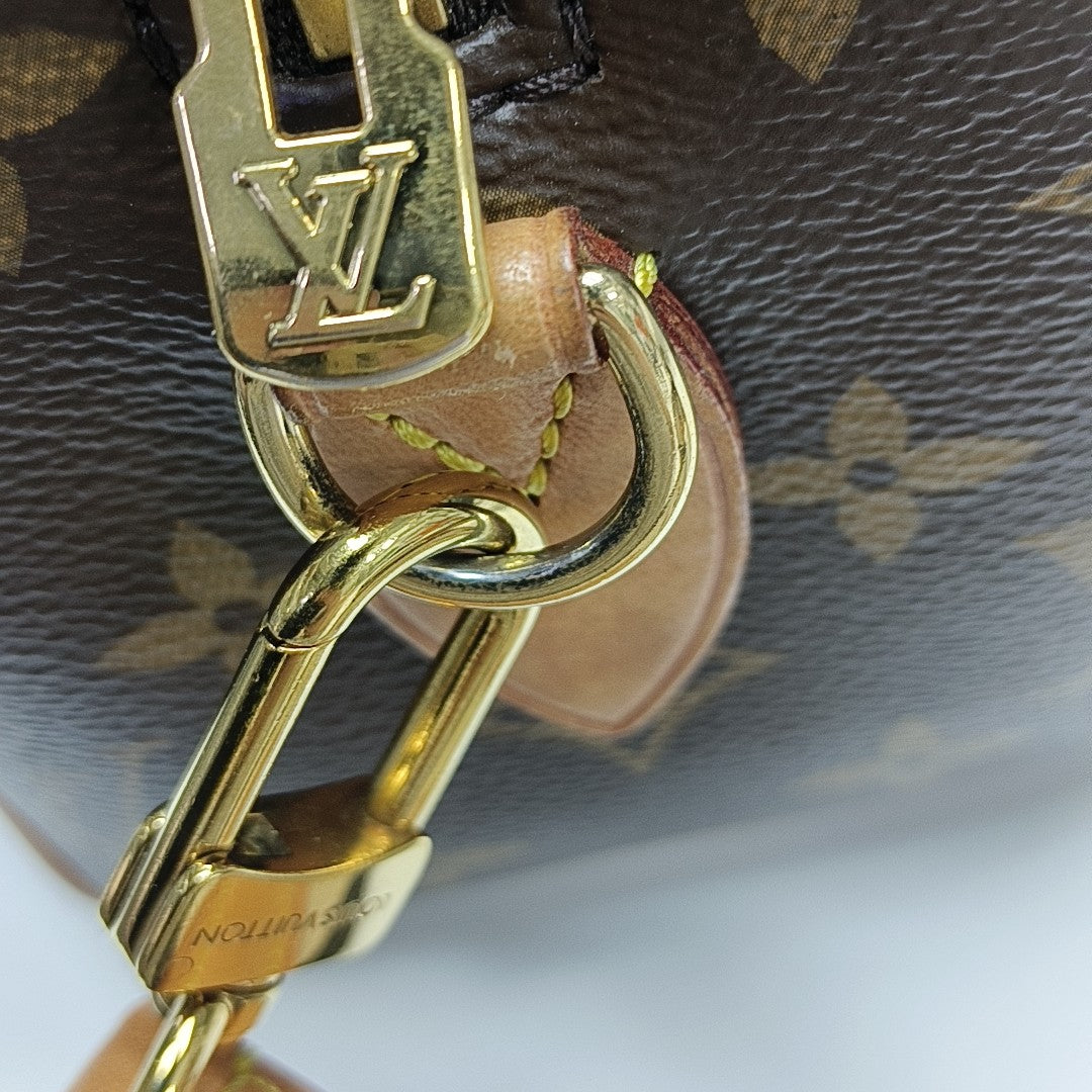 SPEEDY 20 Monogram Coated Canvas Brown