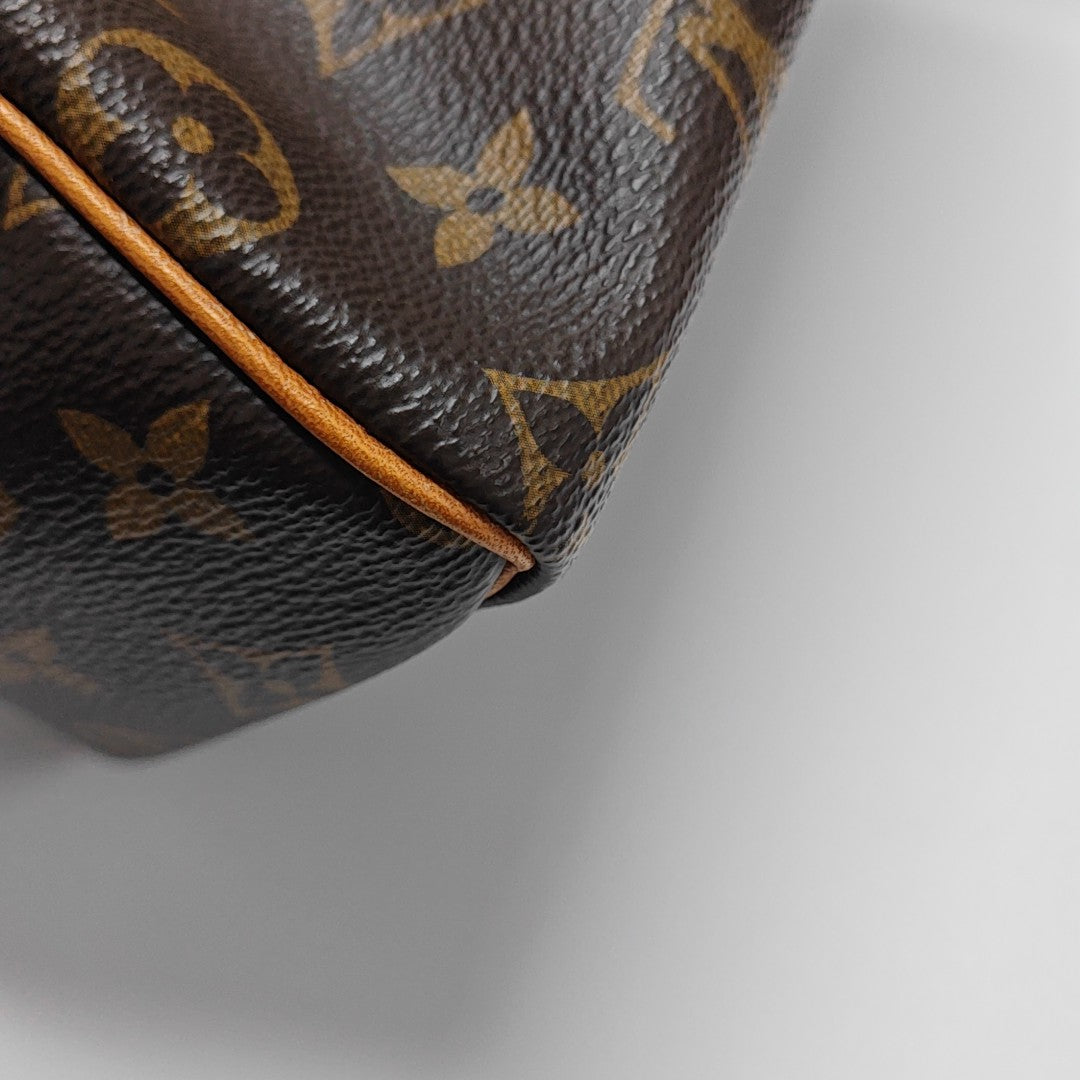 SPEEDY 25 Monogram Coated Canvas Brown