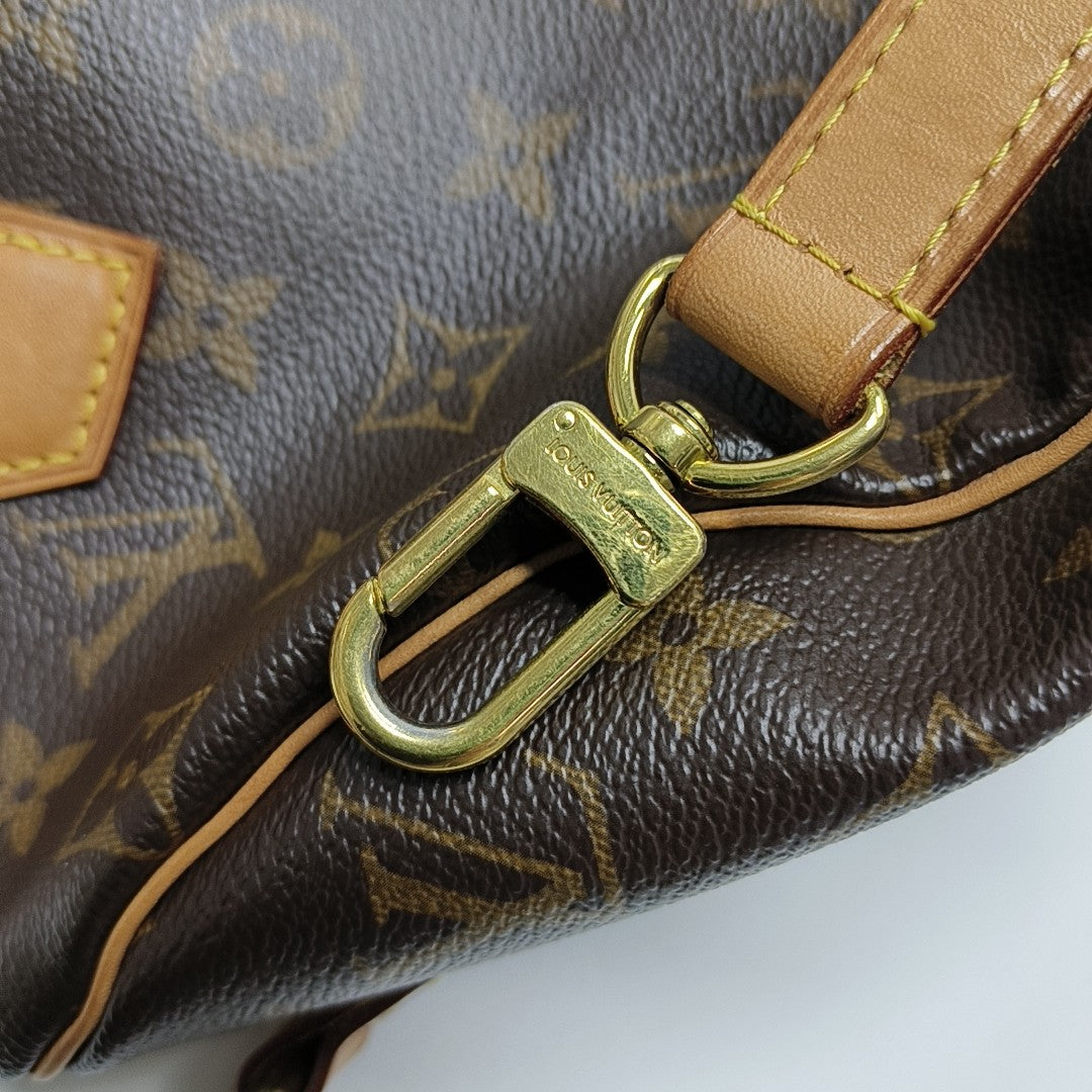 SPEEDY 25 Monogram Coated Canvas Brown