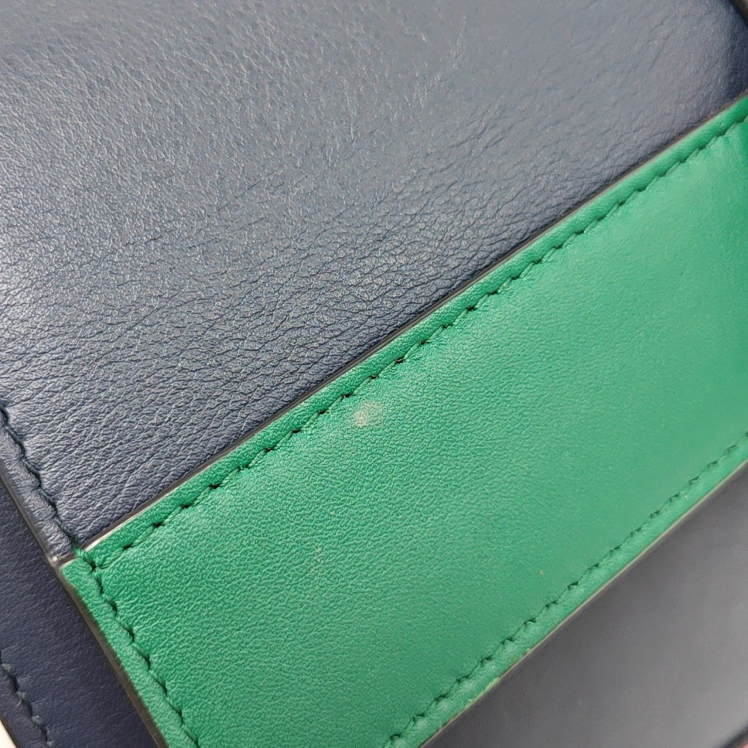 Dionysus Medium Calfskin Multicolor