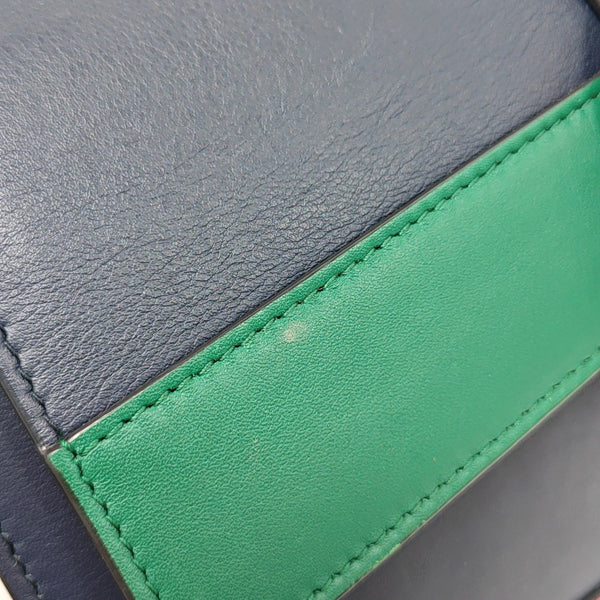 Dionysus Medium Calfskin Multicolor
