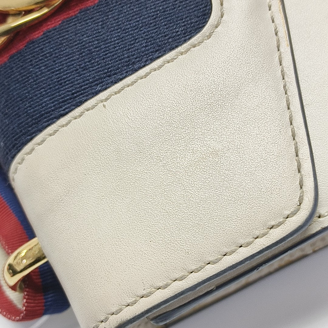 Sylvie Mini Calfskin White