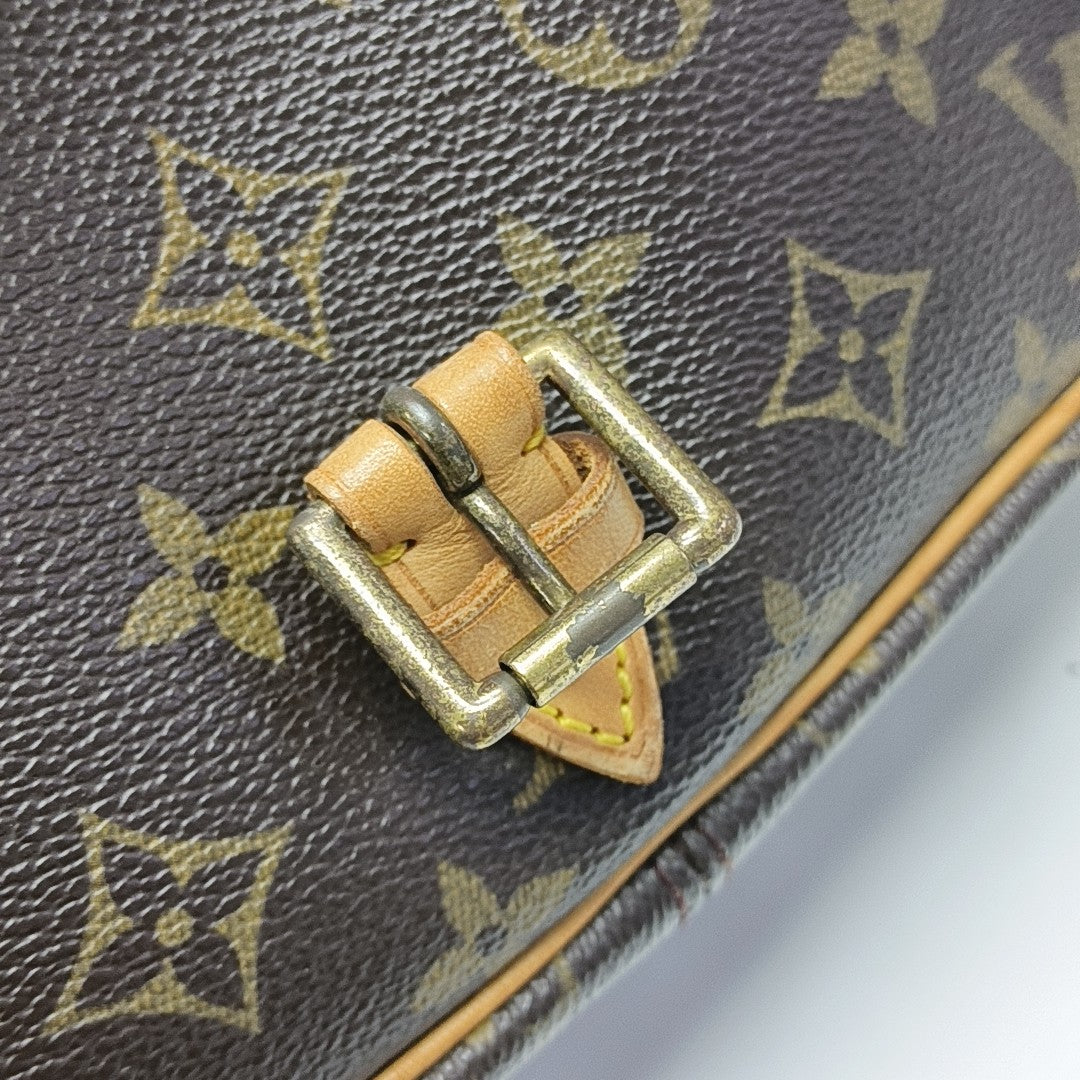 SOLOGNE PM Monogram Coated Canvas Brown