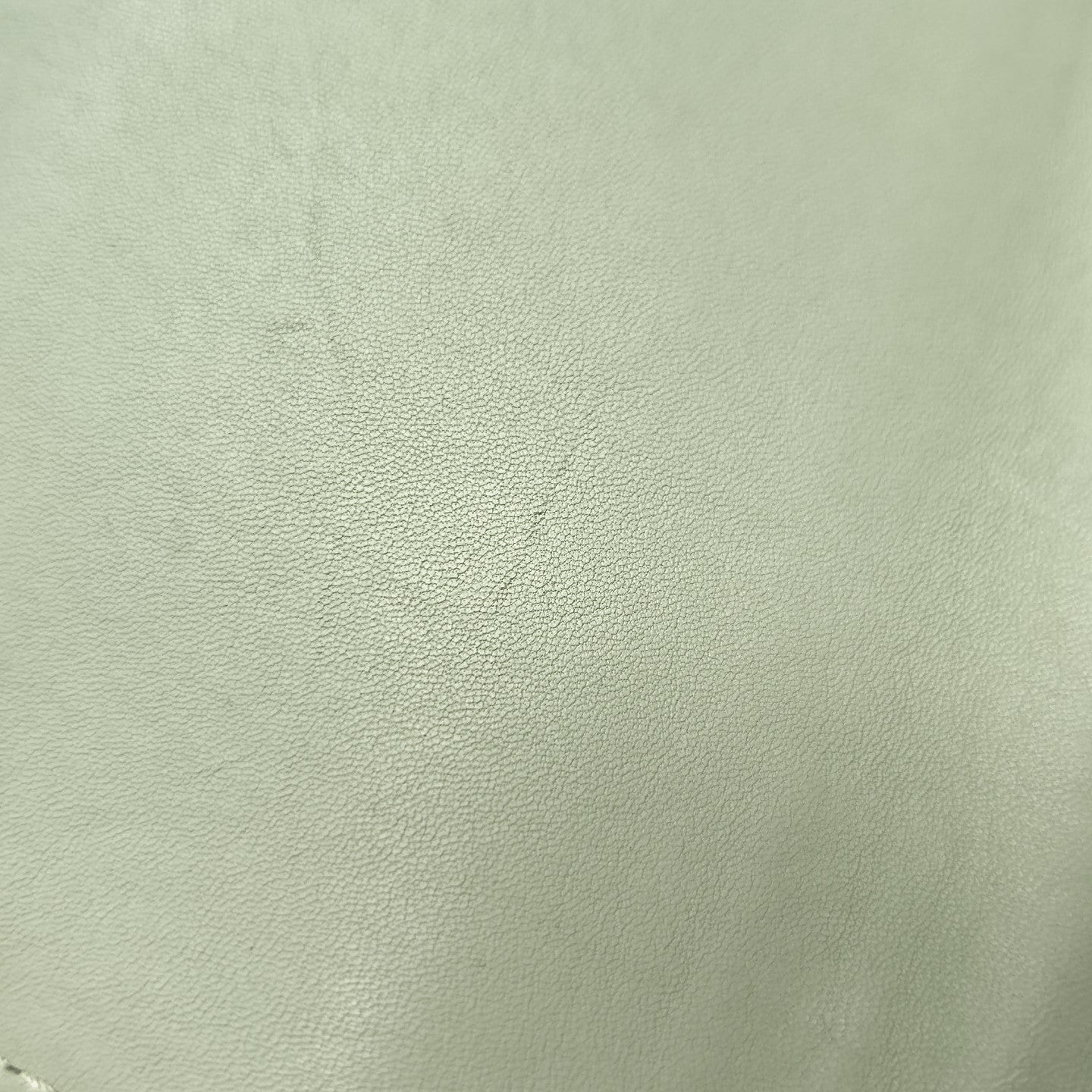 Glam Medium Calfskin Multicolor