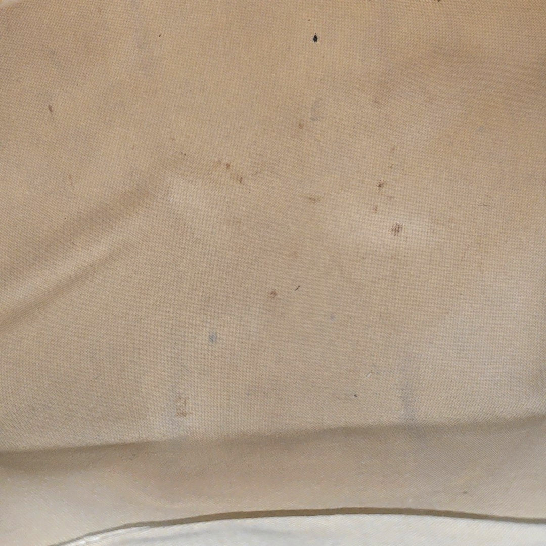Authenticated pre-owned  Speedy 30 Damier Azur Coated Canvas White - Top Handle Bag at Looply