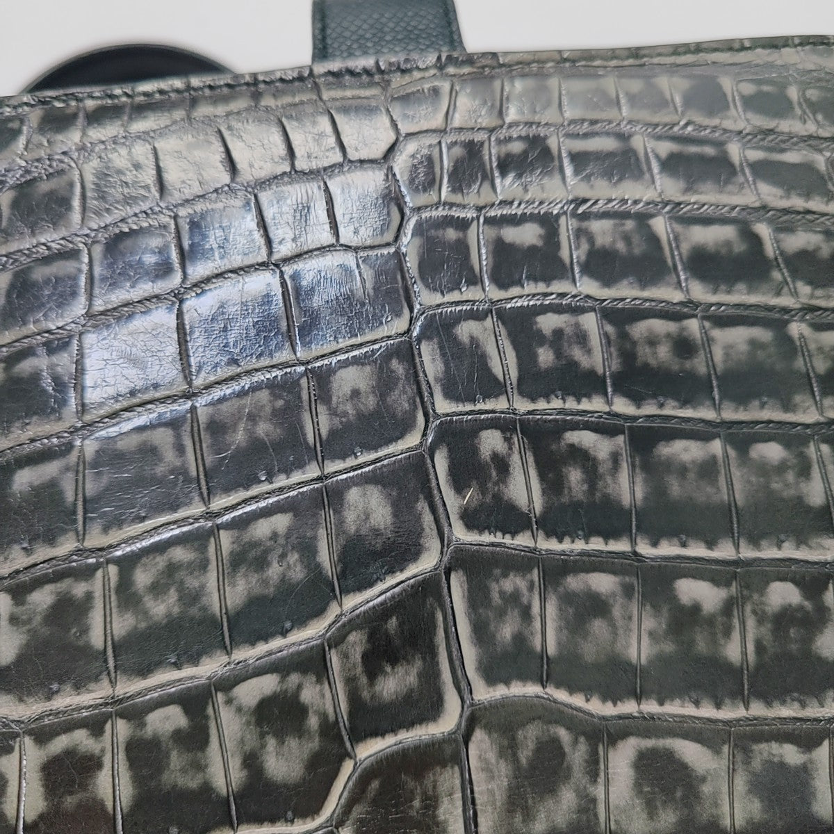 Crocodile Black