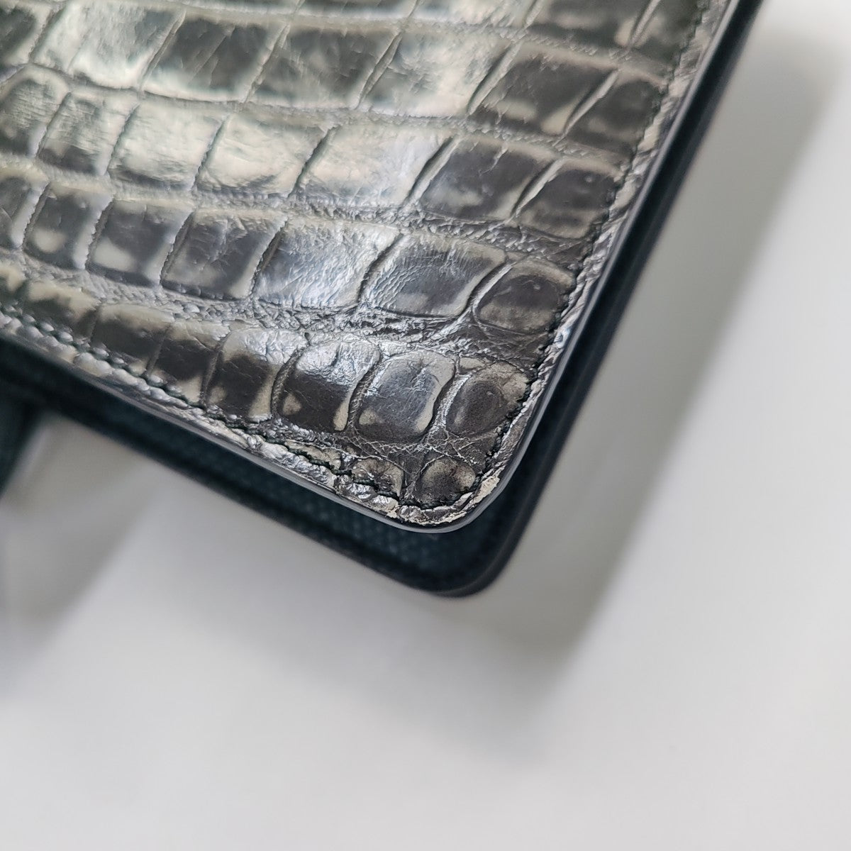Crocodile Black