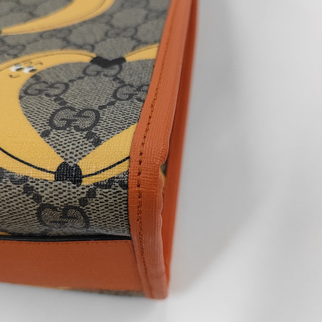 Monogram Coated Canvas Multicolor