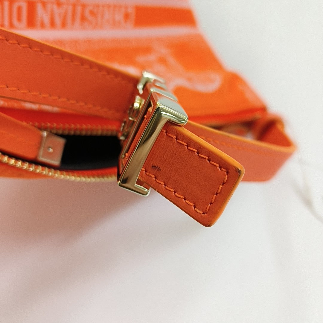 Diortravel Nomad Fabric Orange
