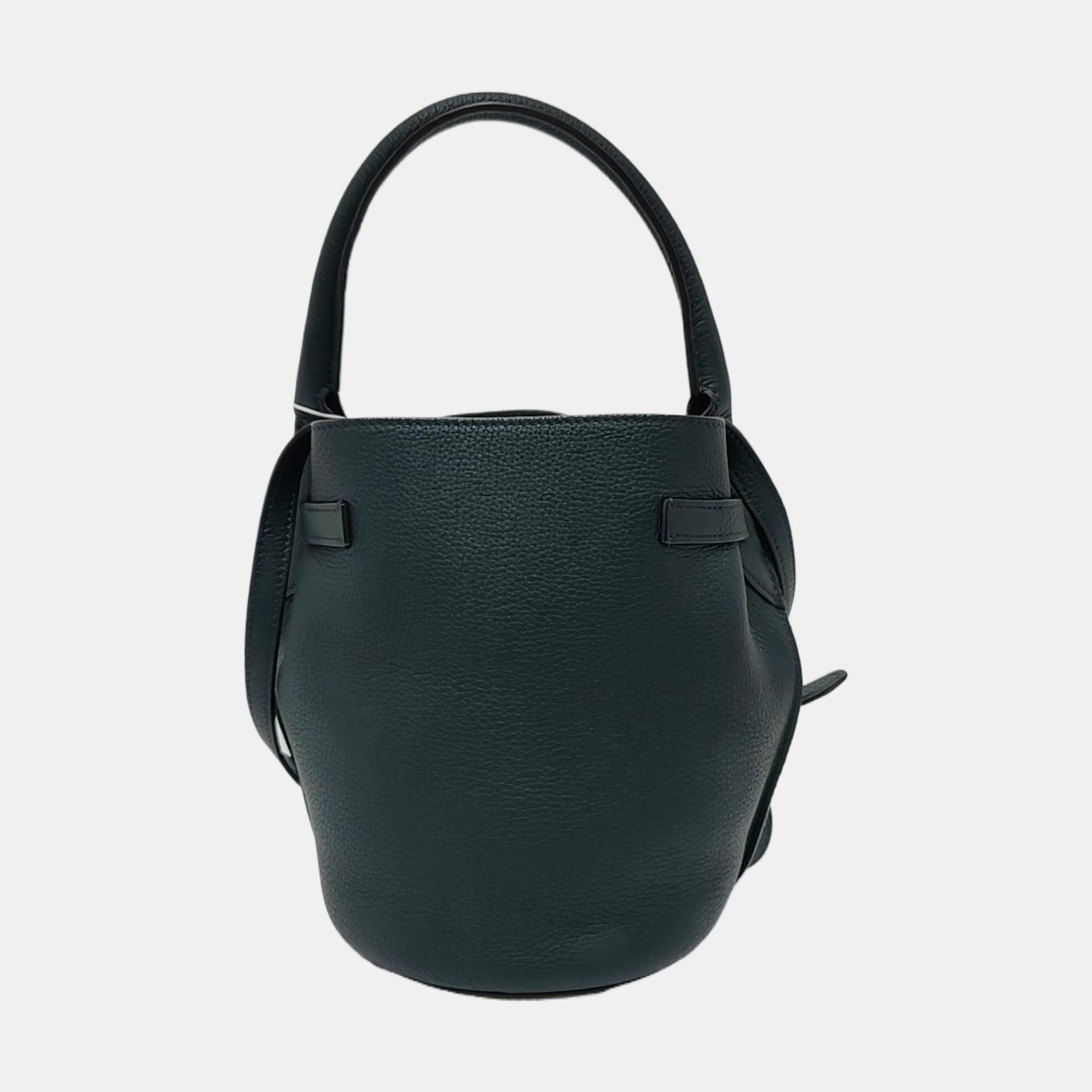 Authenticated pre-owned  Big Bag Nano Calfskin Green - Crossbody Bag at Looply