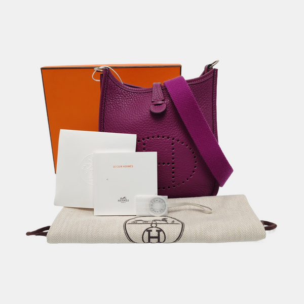 Authenticated pre-owned  Evelyne Mini Clemence Purple - Shoulder Bag at Looply