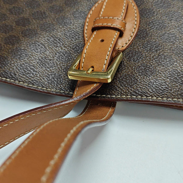 Coated Canvas Brown