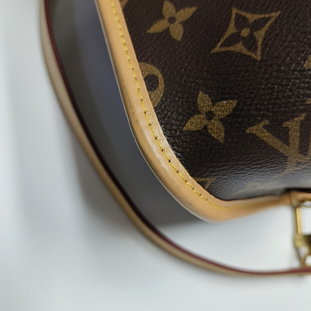 DIANE Monogram Coated Canvas Brown