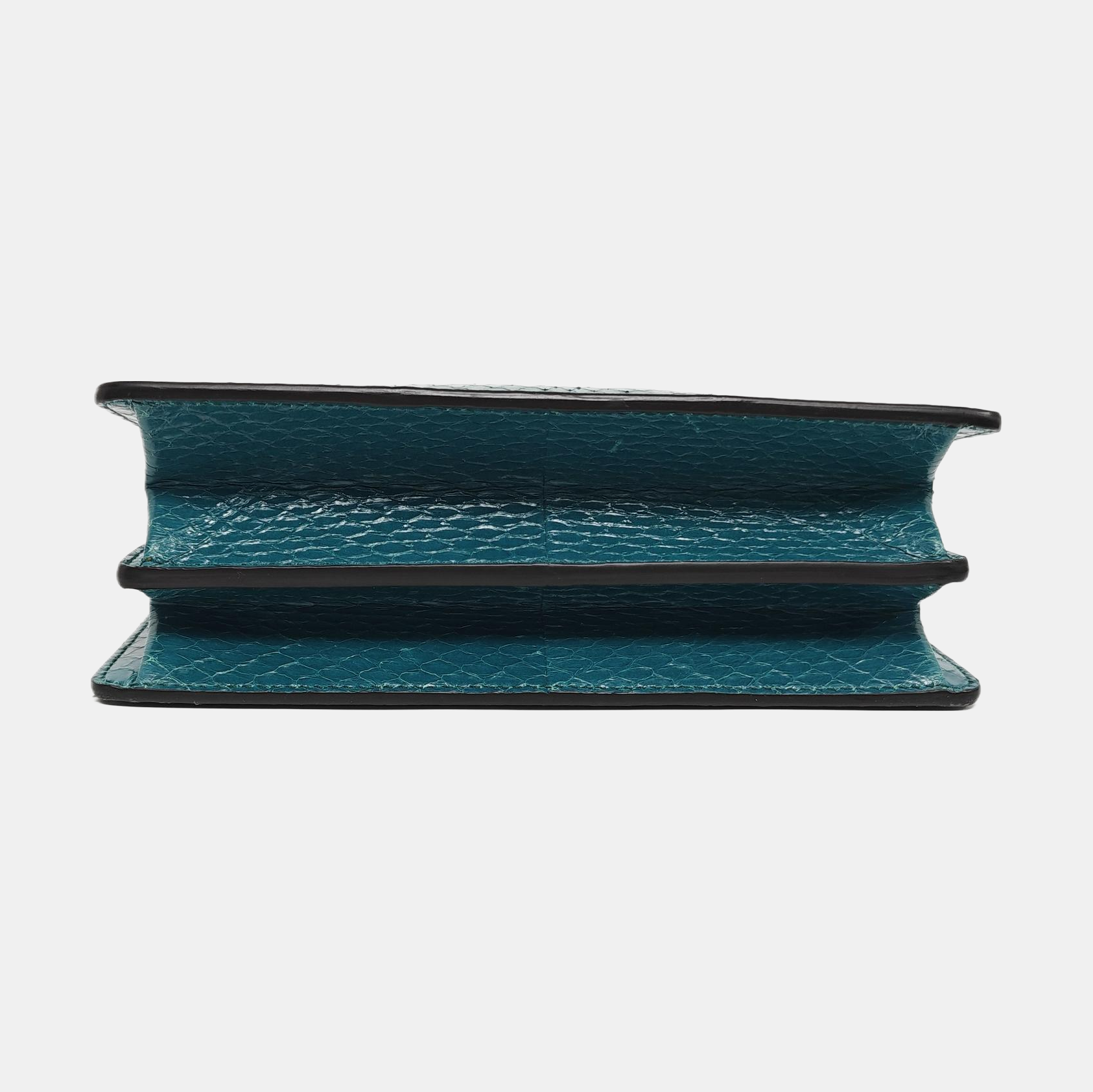 Thalia Python Green