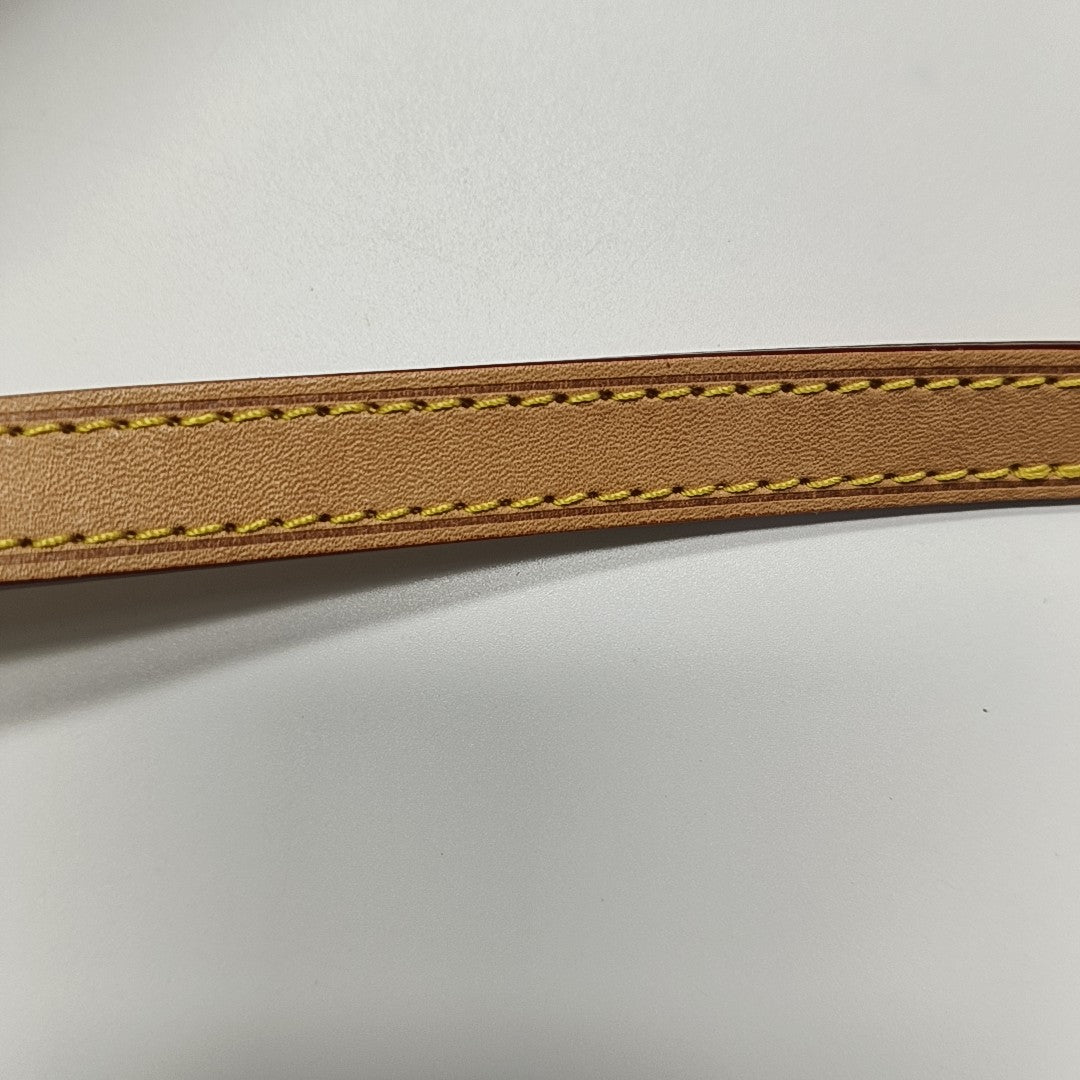SPEEDY Nano Monogram Coated Canvas Brown