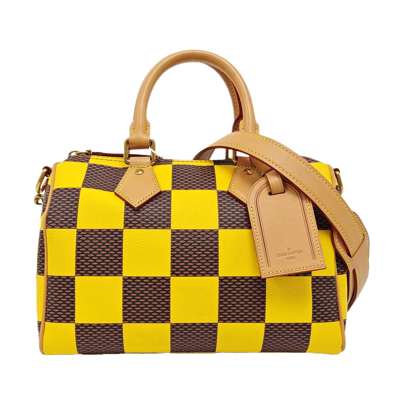 SPEEDY 25 Damier Coated Canvas Multicolor