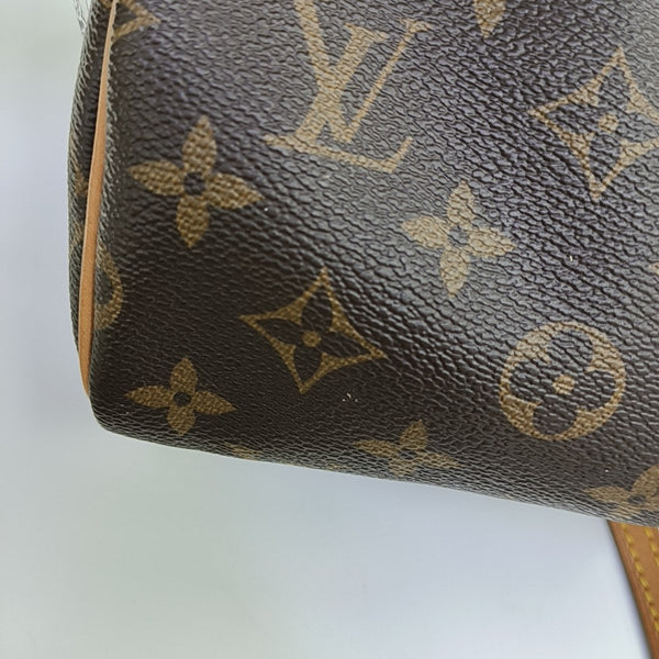 SPEEDY Nano Monogram Coated Canvas Brown