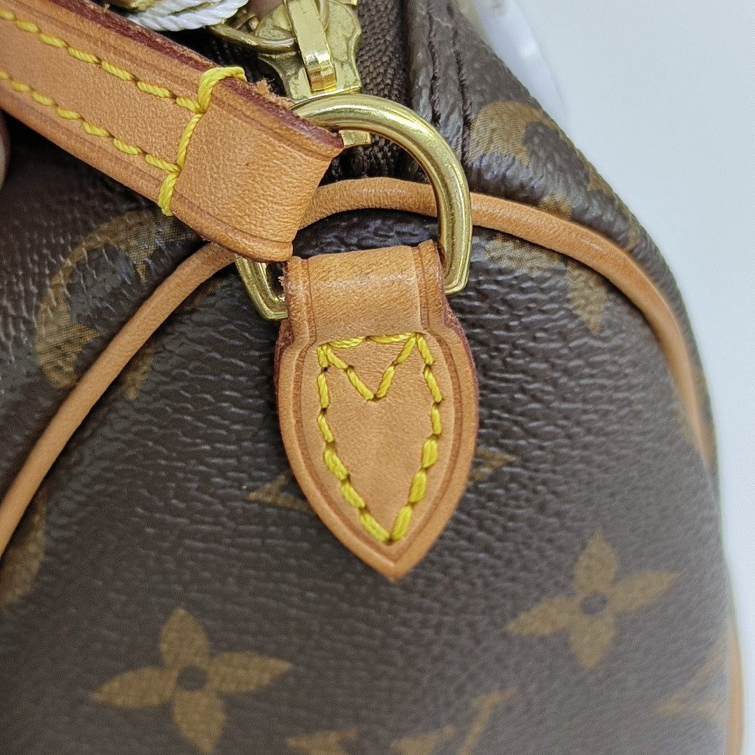 SPEEDY Nano Monogram Coated Canvas Brown