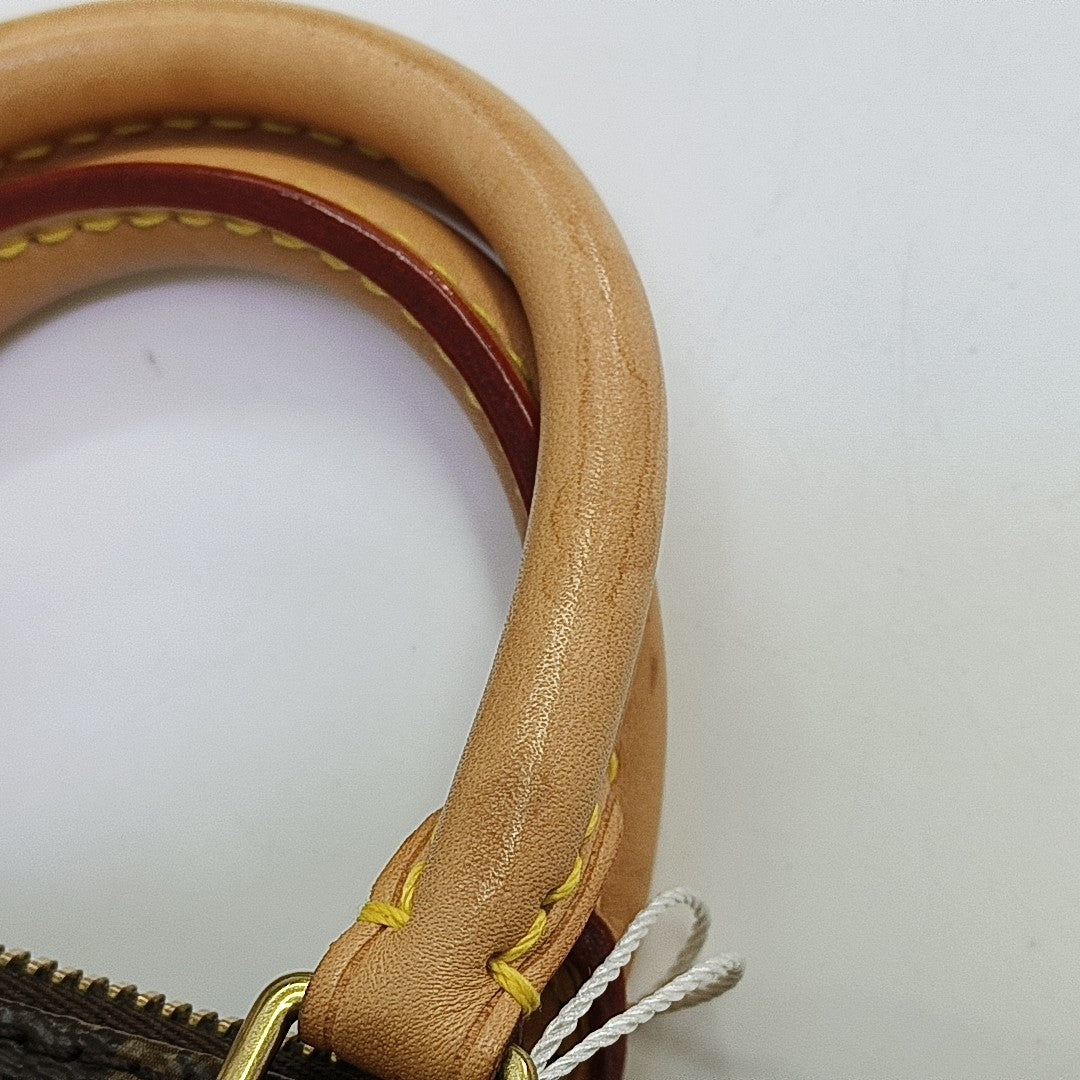 SPEEDY Nano Monogram Coated Canvas Brown