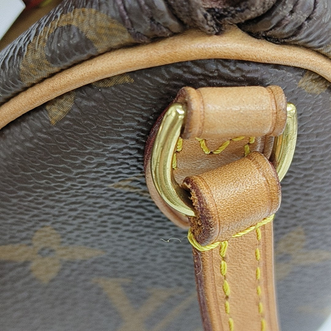 SPEEDY Nano Monogram Coated Canvas Brown