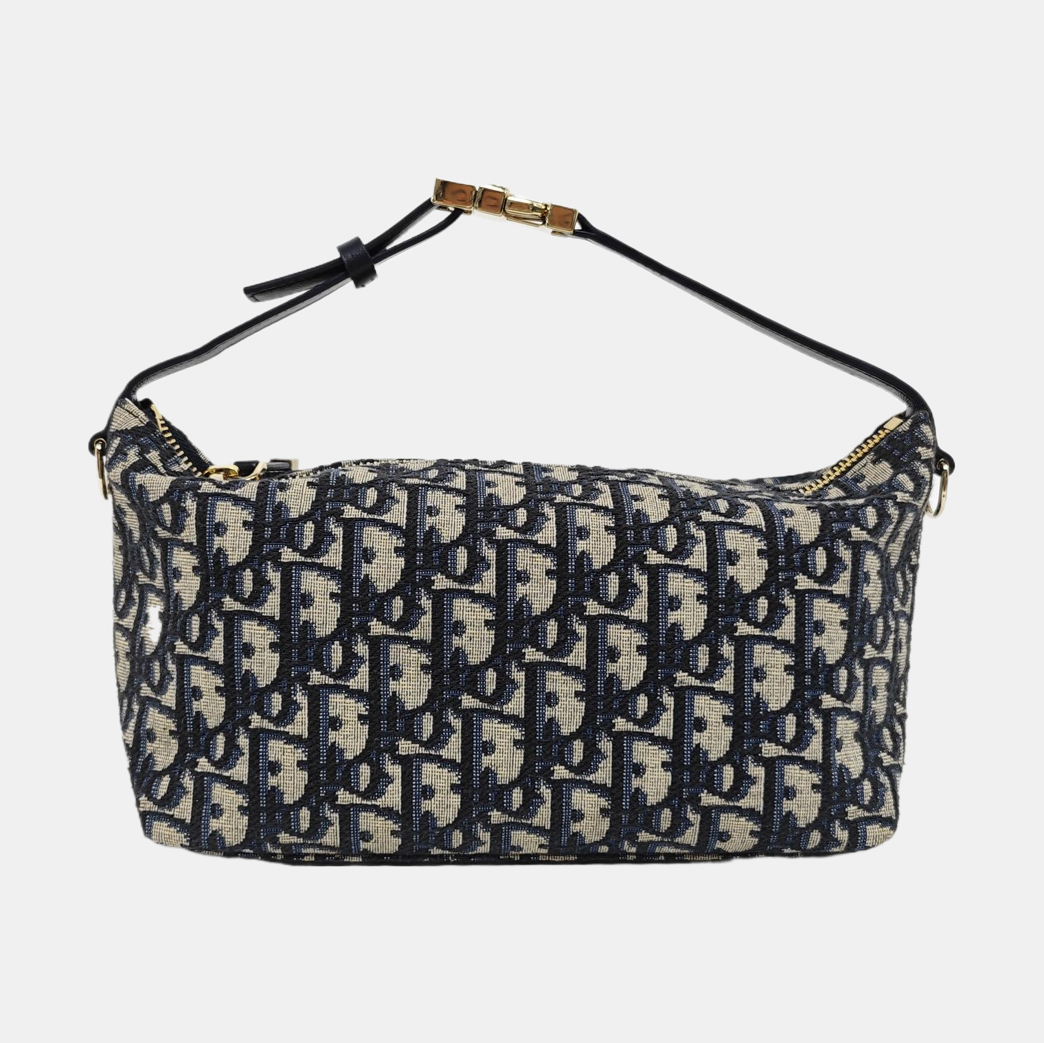 Diortravel Nomad Medium Oblique Canvas Beige