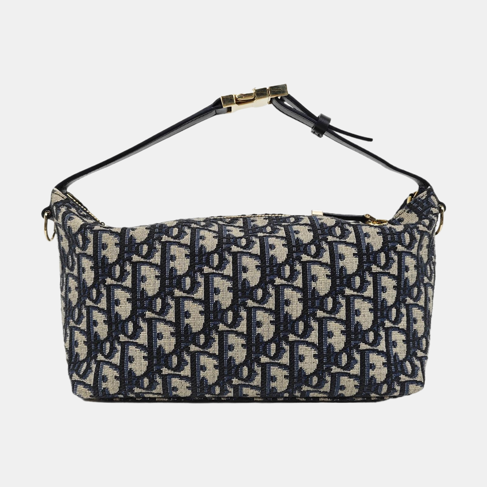 Diortravel Nomad Medium Oblique Canvas Beige