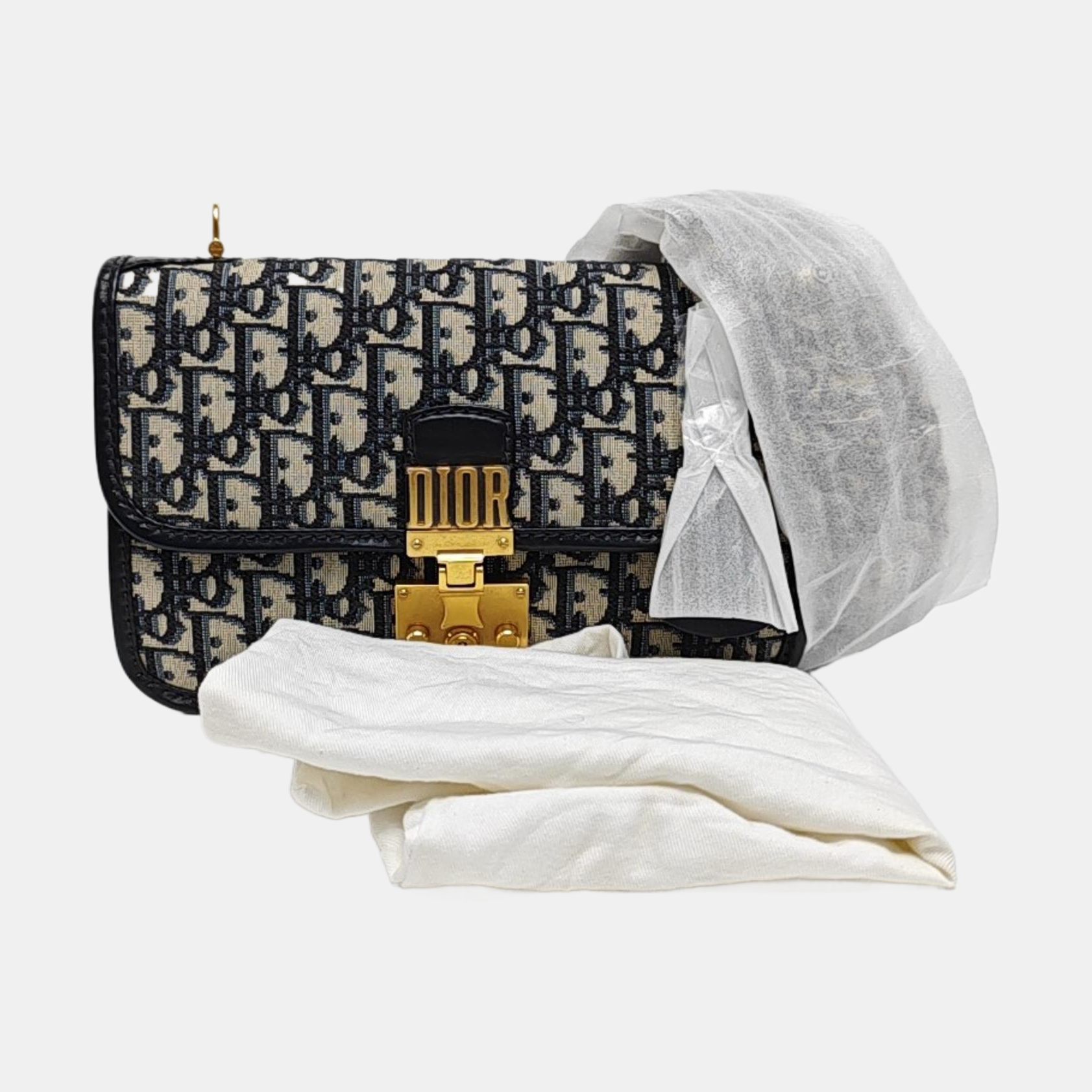 Dioraddict Oblique Canvas Blue