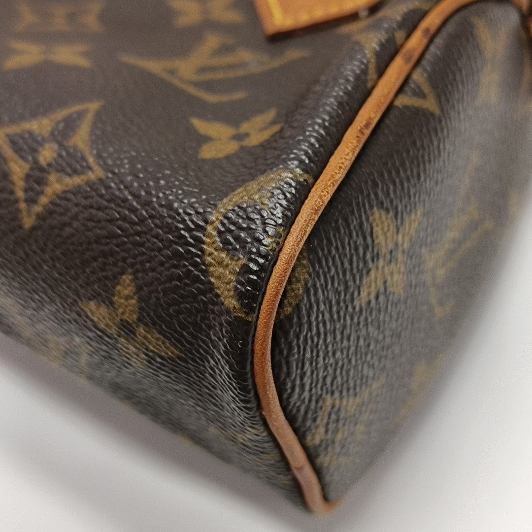 SPEEDY Nano Monogram Coated Canvas Brown