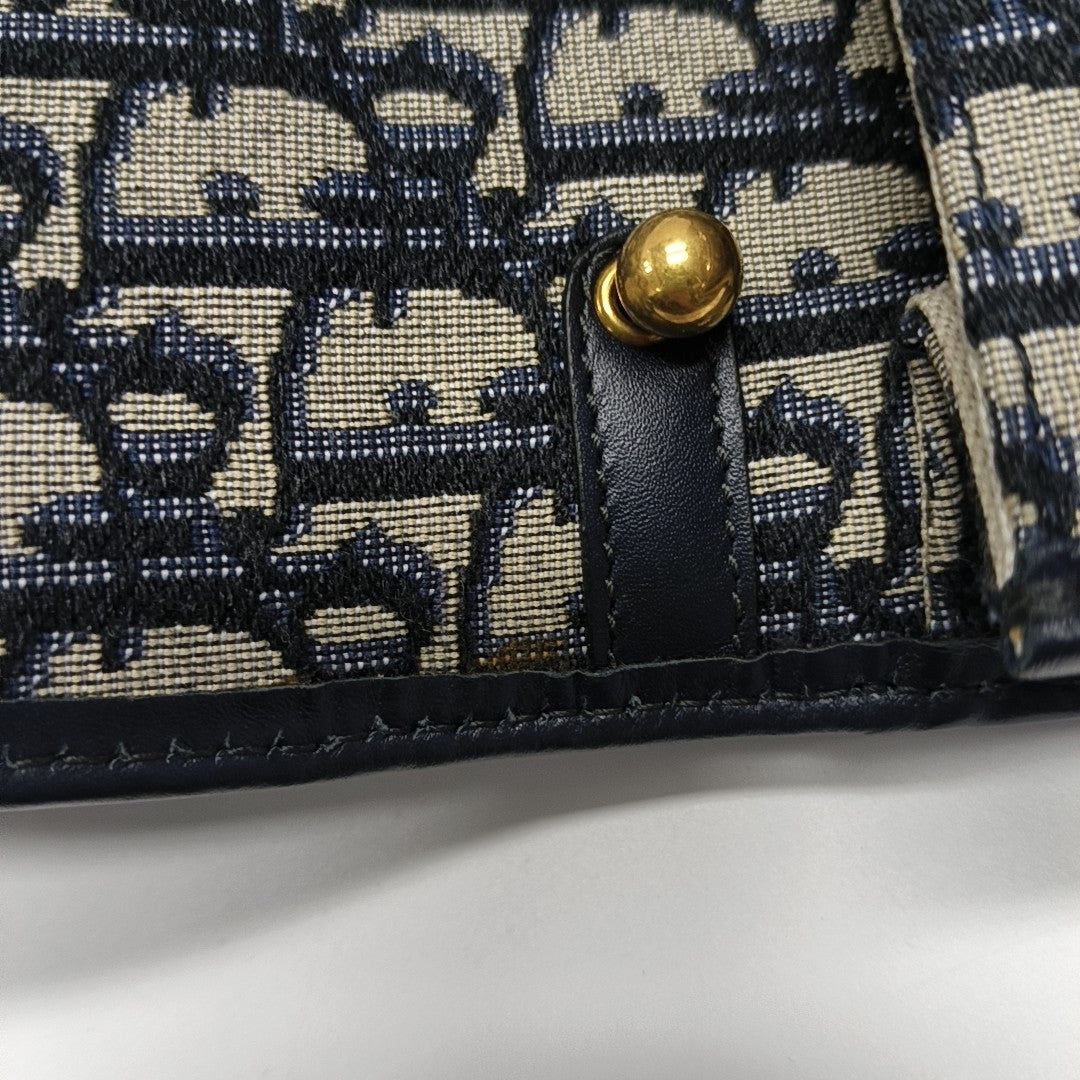 Dioraddict Oblique Canvas Blue