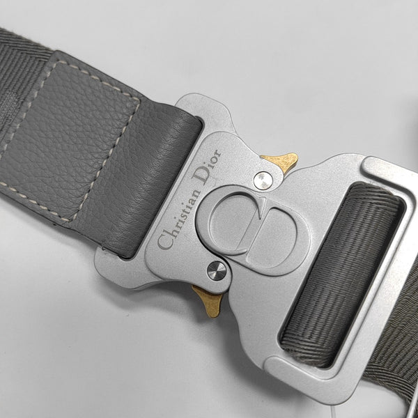 Dior And Shawn Calfskin Gray