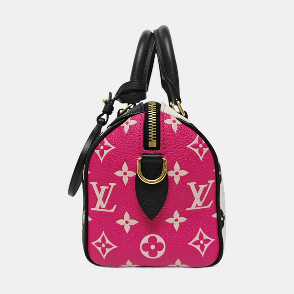 SPEEDY 20 Calfskin Multicolor