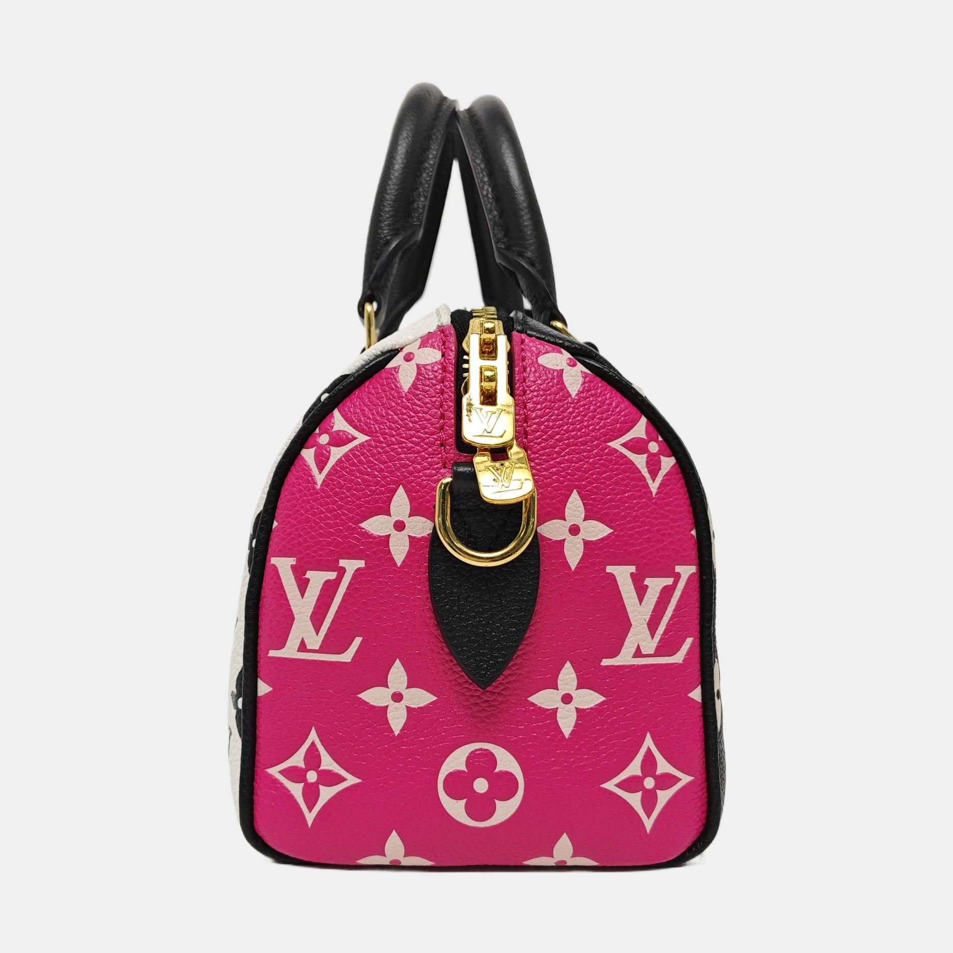SPEEDY 20 Calfskin Multicolor