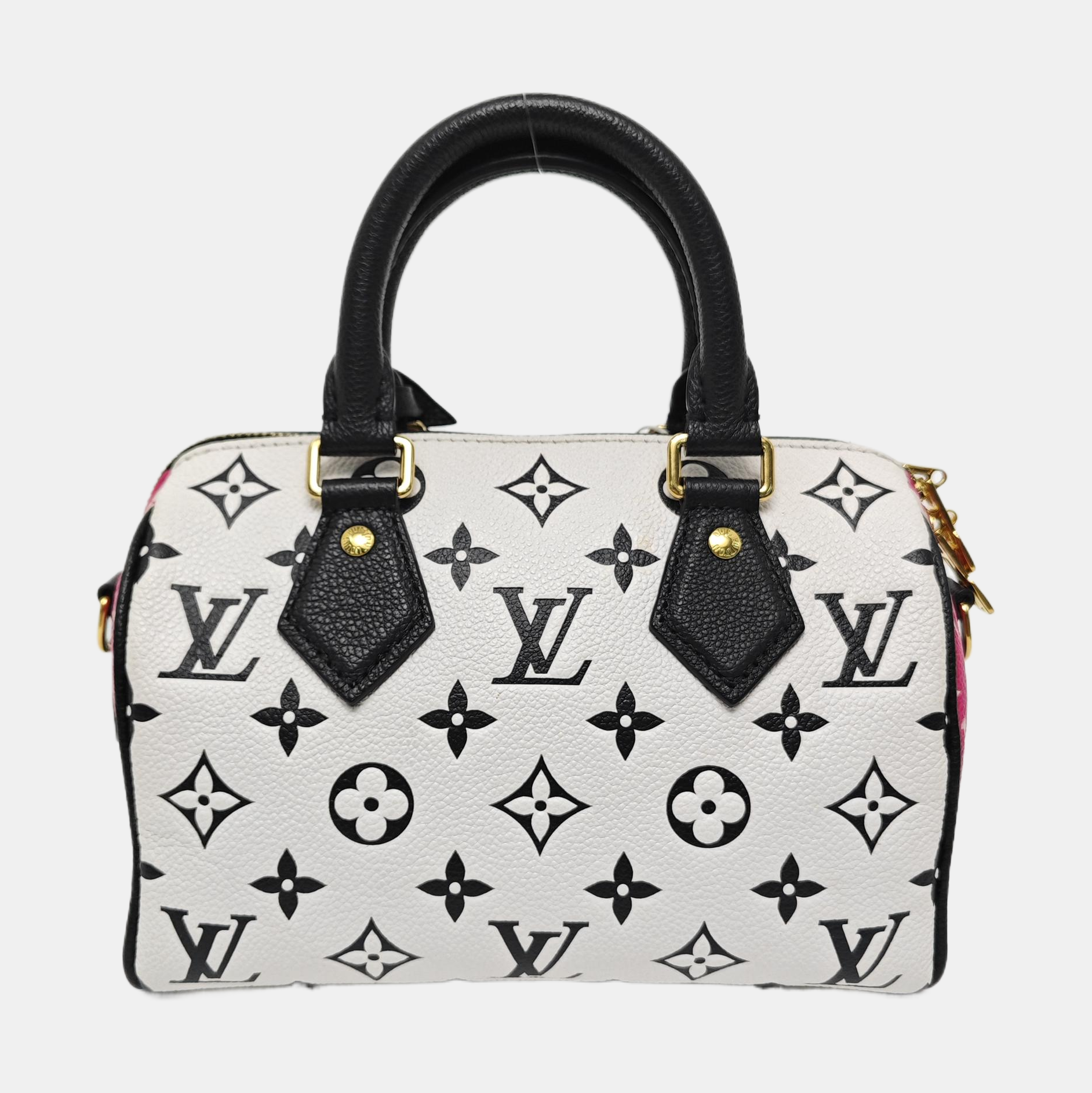 SPEEDY 20 Calfskin Multicolor