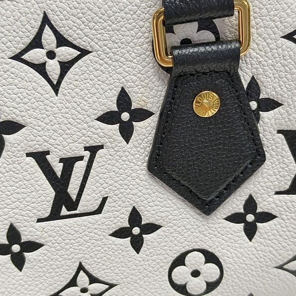 SPEEDY 20 Calfskin Multicolor