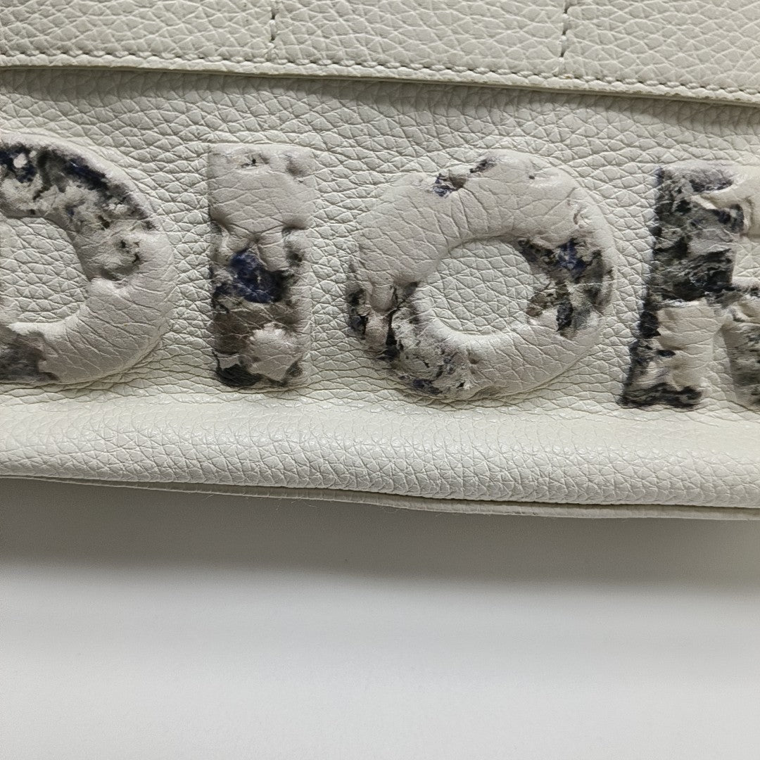 Dior And Daniel Arsham Calfskin White