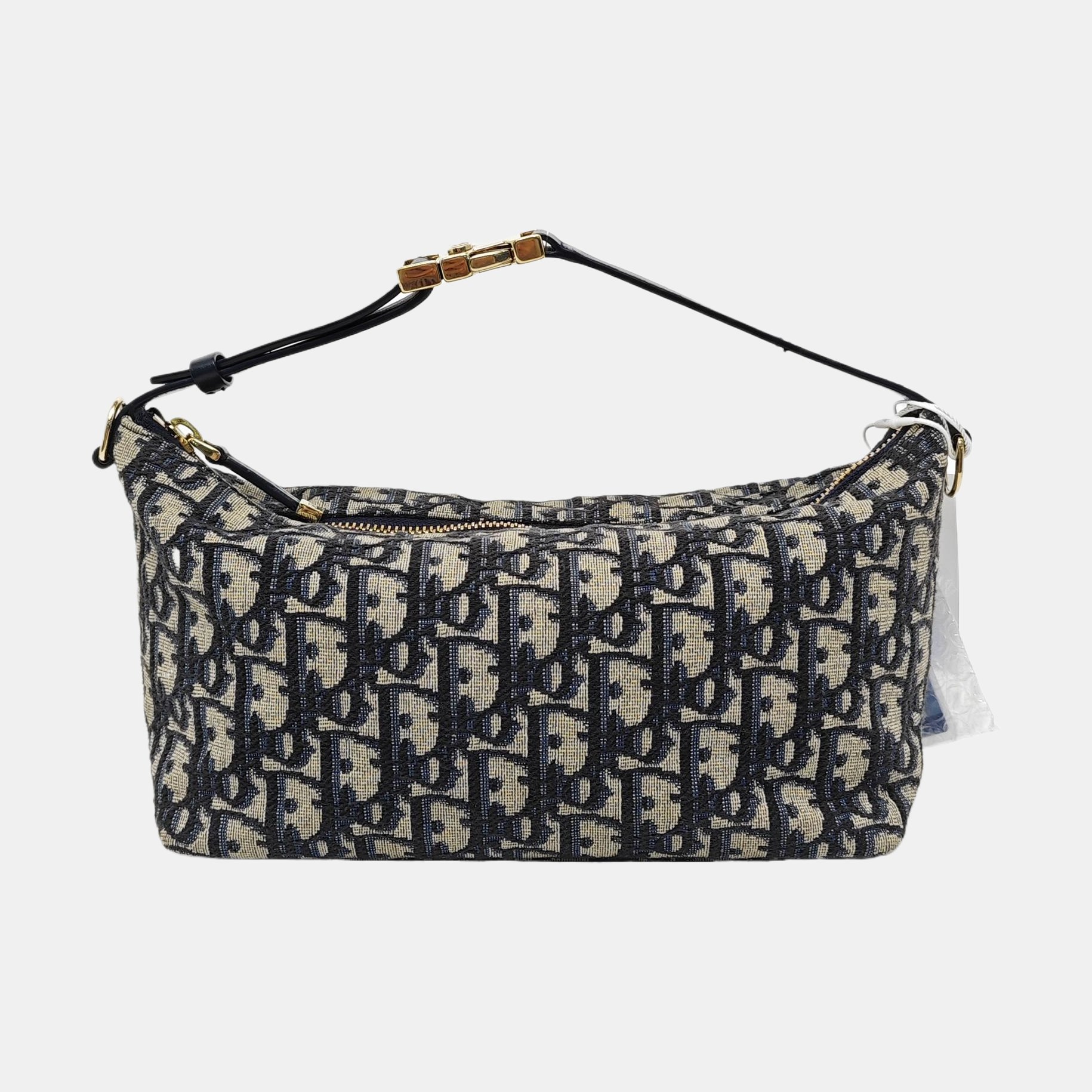 Diortravel Nomad Medium Oblique Canvas Beige