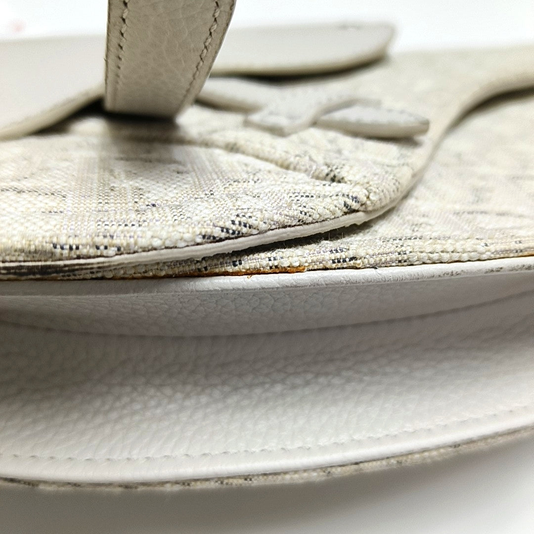 Authenticated pre-owned  Saddle Oblique Canvas Beige - Crossbody Bag at Looply