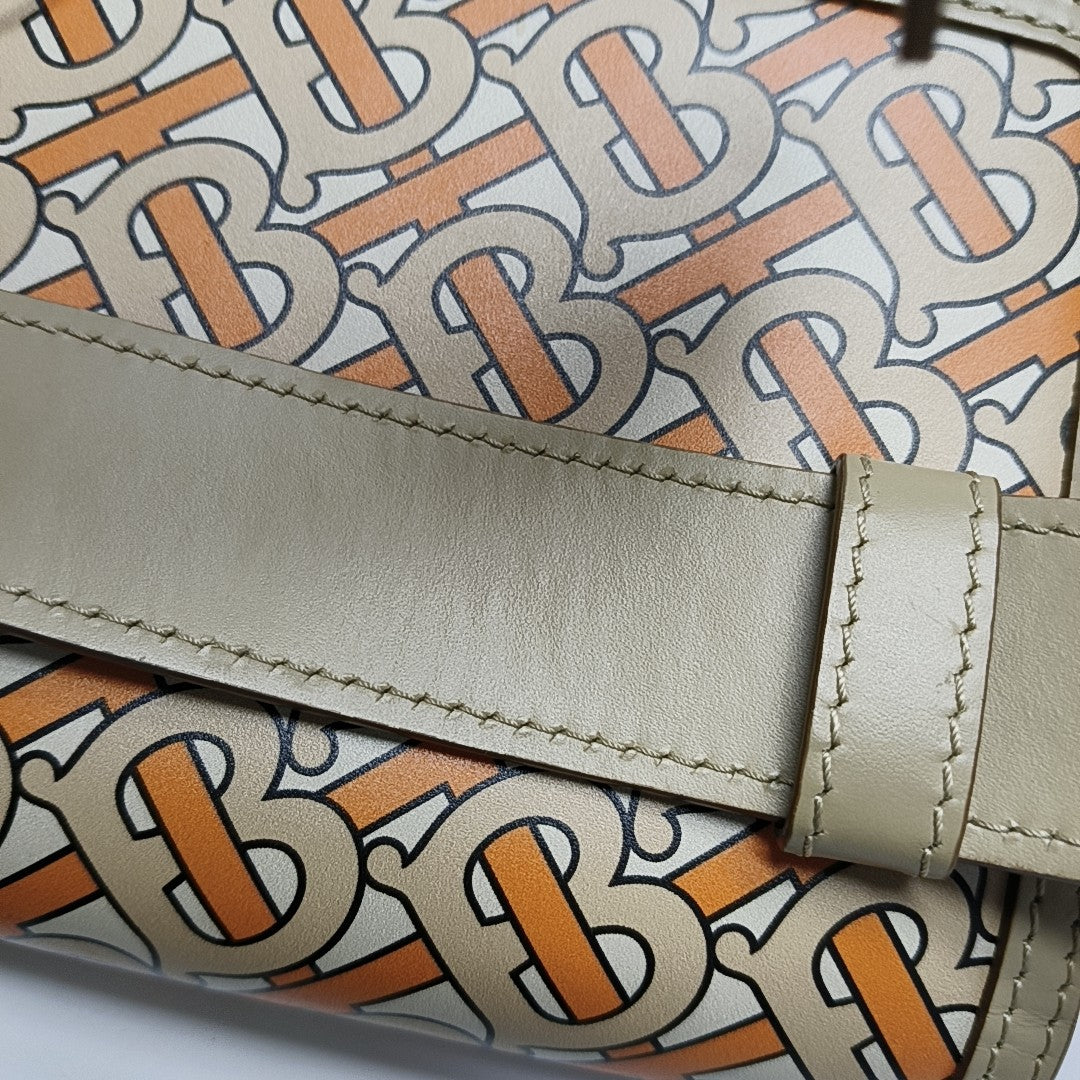 Authenticated pre-owned  Tb Mini Calfskin Multicolor - Belt Bag at Looply