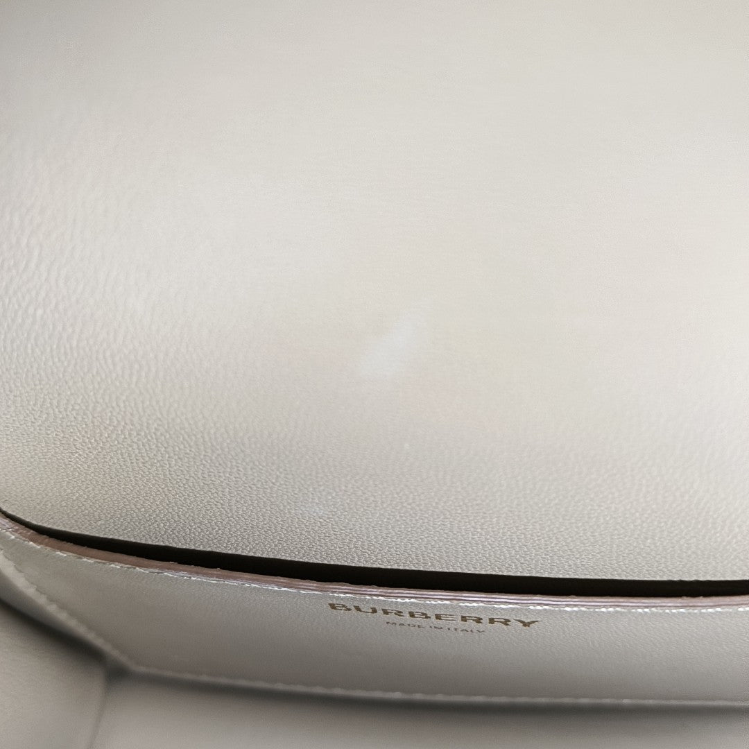 Authenticated pre-owned  Tb Mini Calfskin Multicolor - Belt Bag at Looply