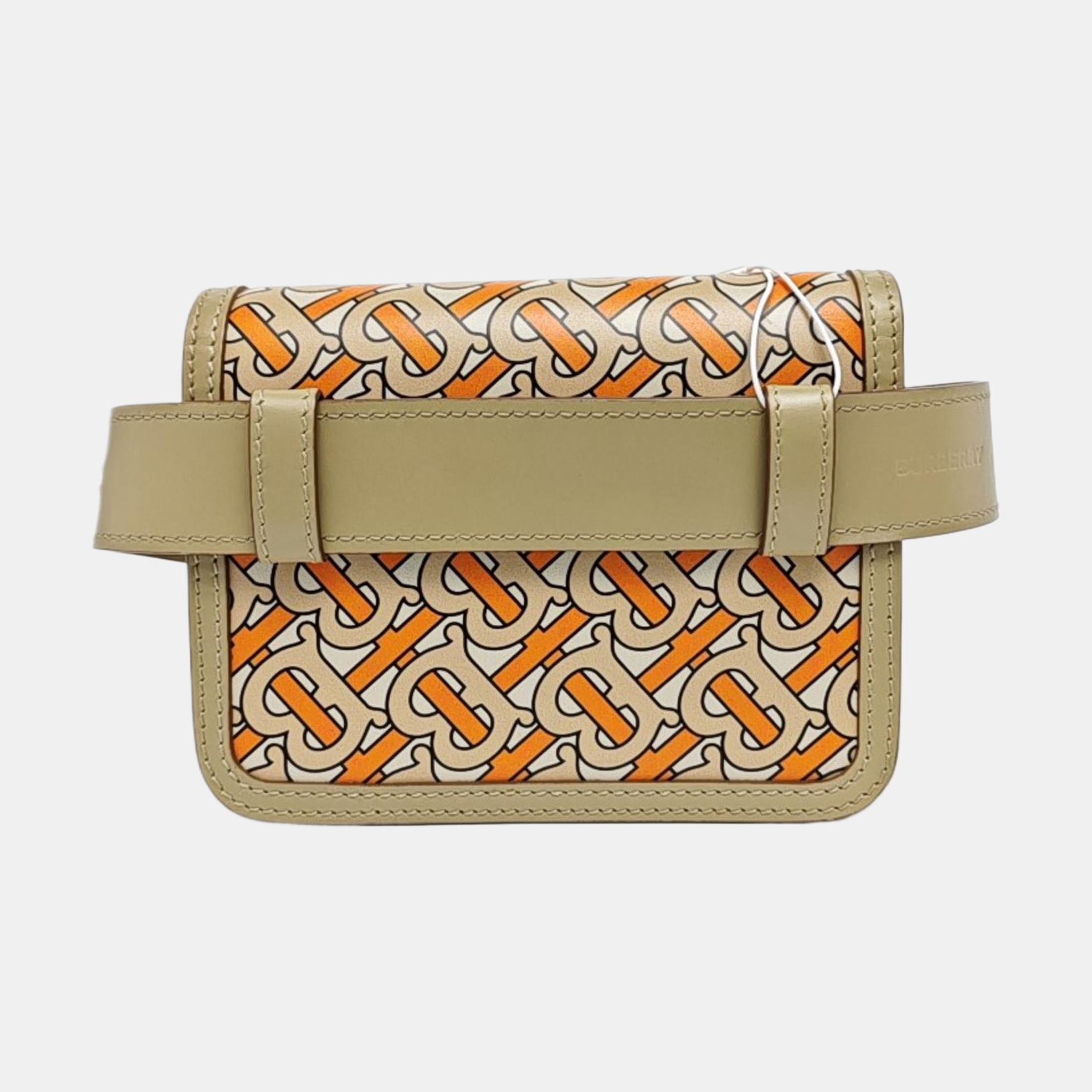 Authenticated pre-owned  Tb Mini Calfskin Multicolor - Belt Bag at Looply